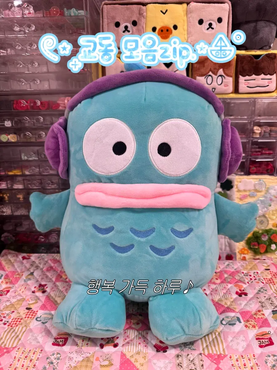 [정품]한교동 인형 모음zip(종류 상관 없이 개당 가격)
