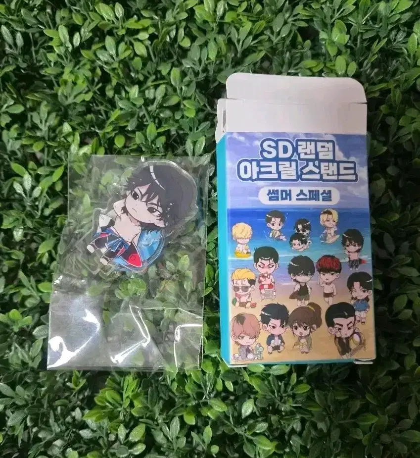 외지주 팝업 육성지 썸머 스페셜 SD 랜덤 아크릴 스탠드