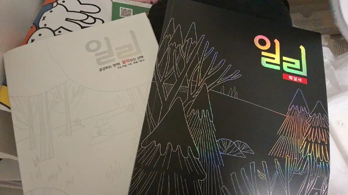 대성마이맥 이명학 일리