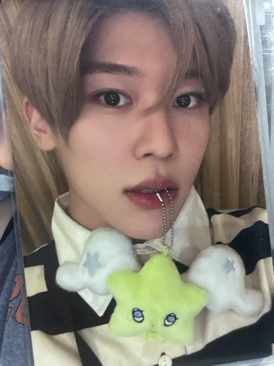 엔시티위시 시온 위츄 포카 양도
