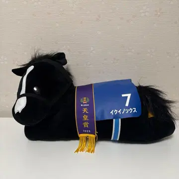 다이토 복권 호스 히어로즈 A상