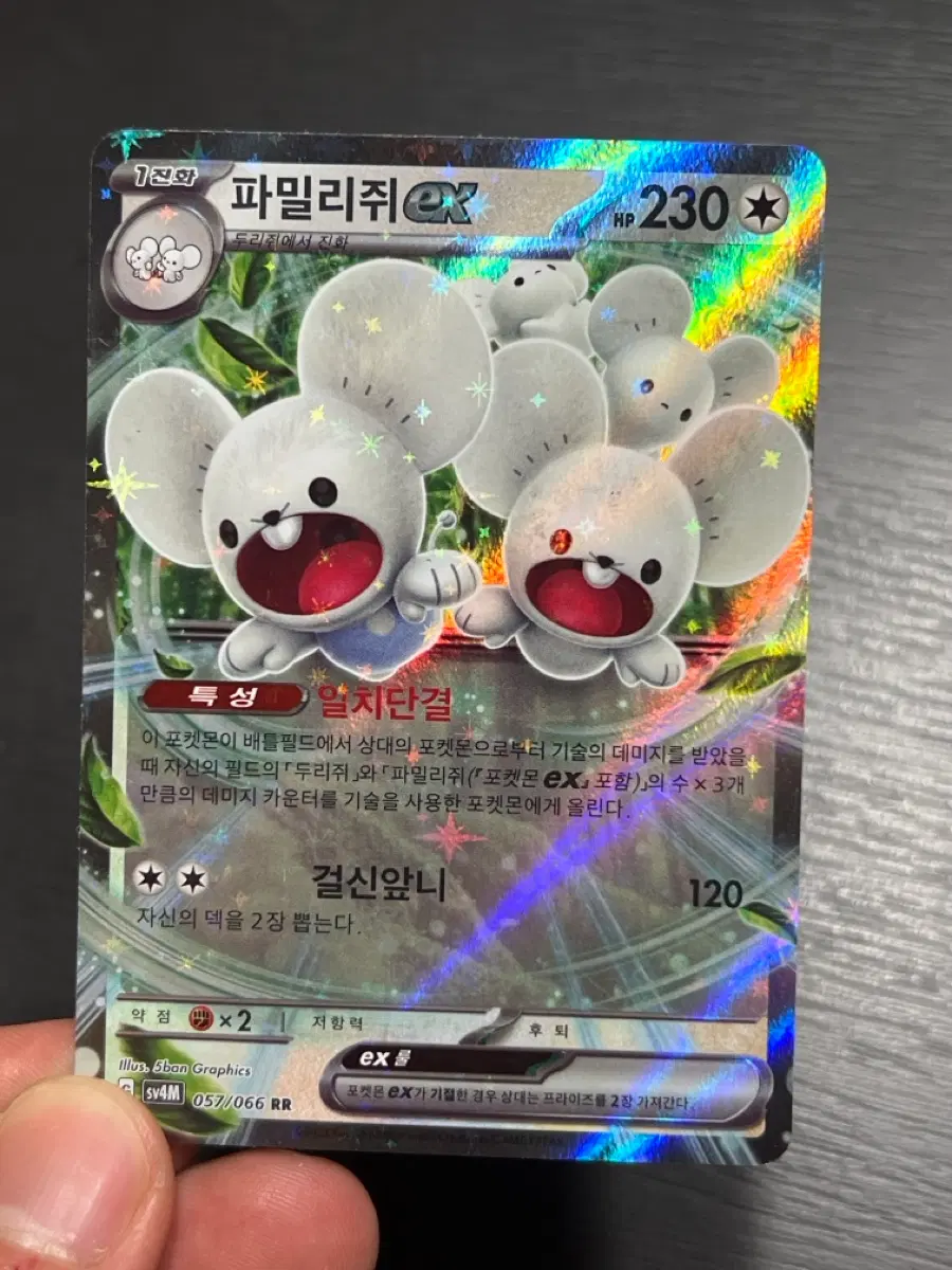 파밀리쥐 ex