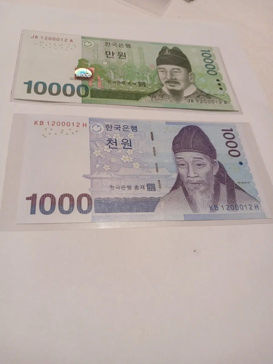 사다리 세트