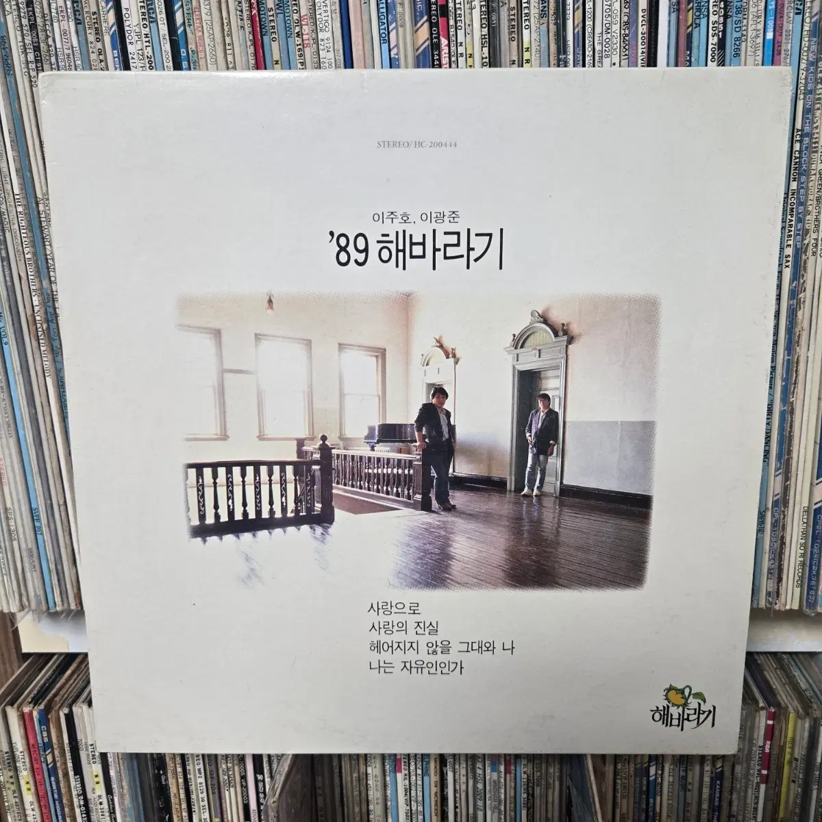 해바라기 LP판 사랑으로