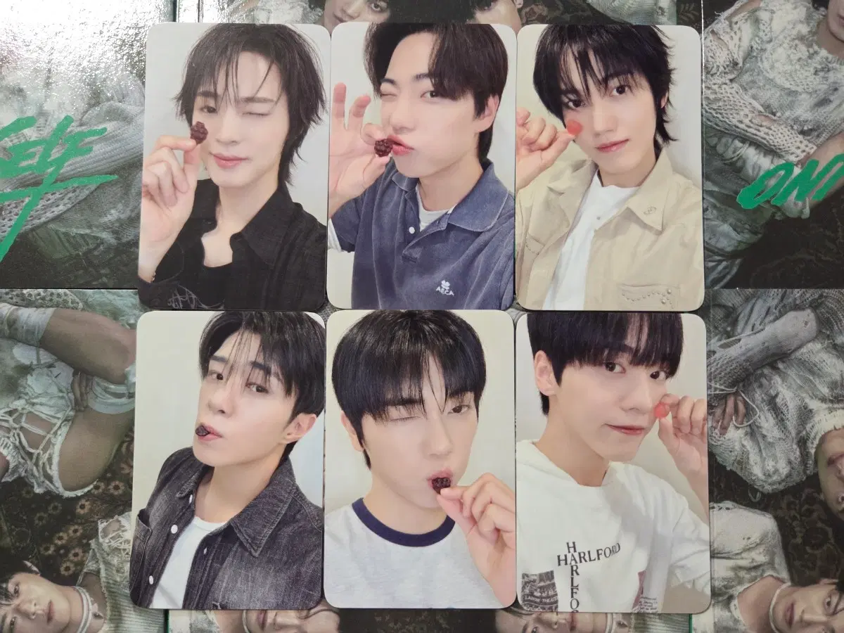 온앤오프 미공포 (에버라인 온앤구미)