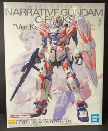 BANDAI SPIRITS MG 1/100 기동전사 건담 NT 내러티브 건담 C 장비 Ver.Ka