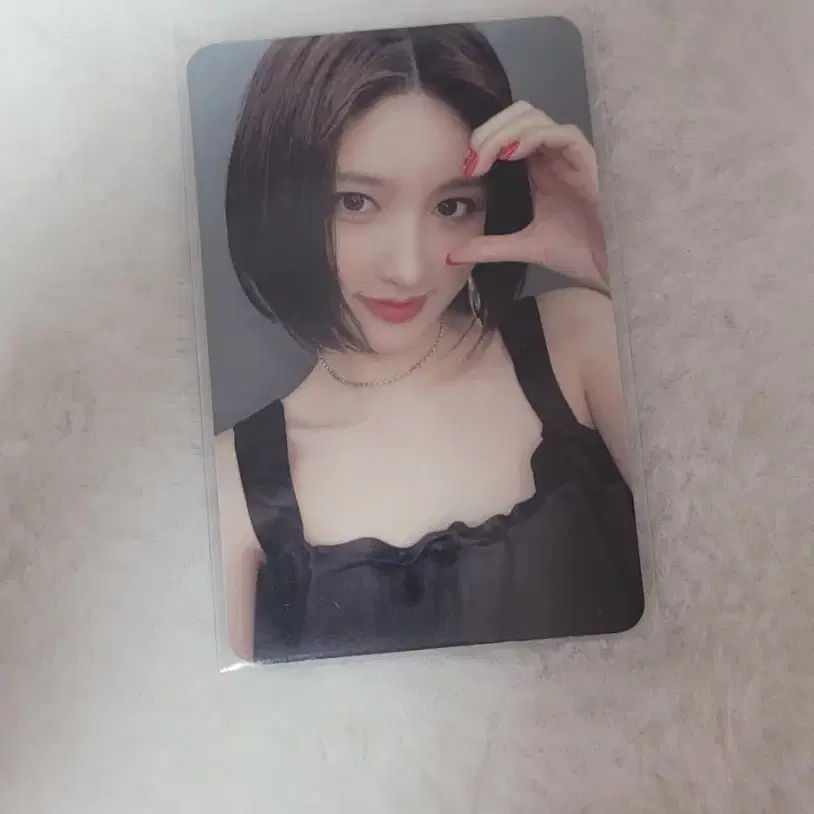 아이브 가을 키치 포카 판매
