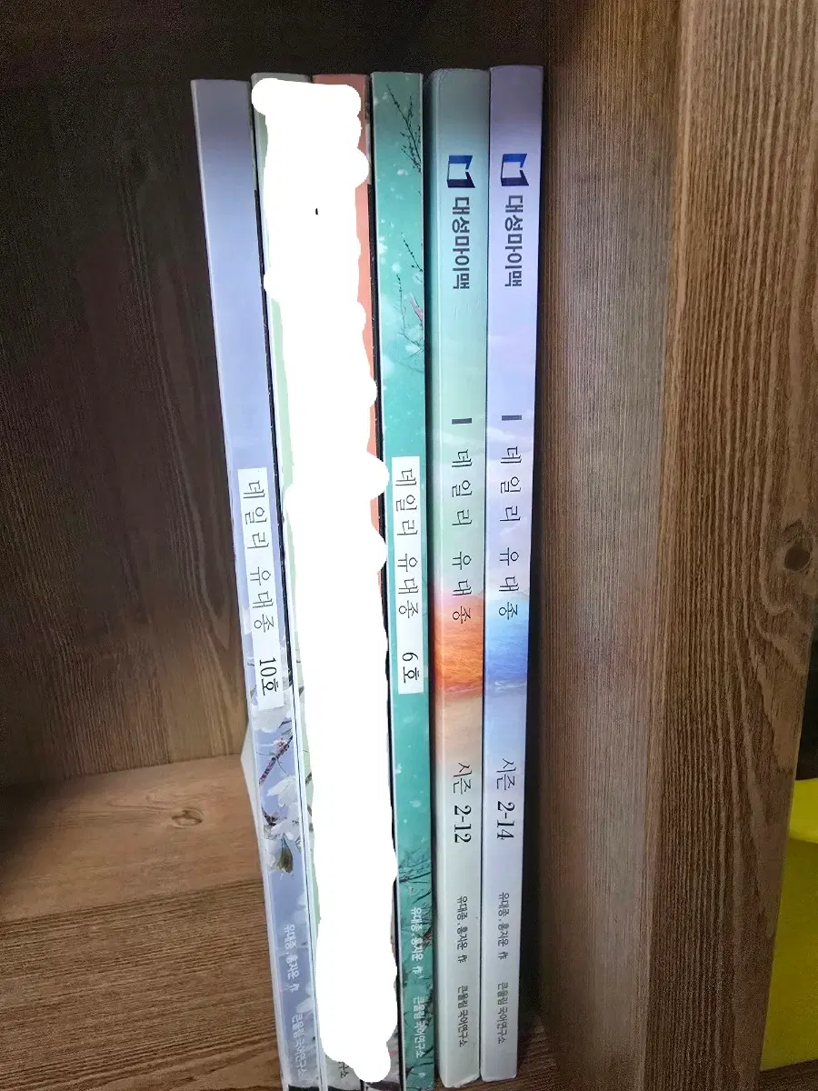 데일리 유대종 마더텅 국어 문제집 판매 2024년