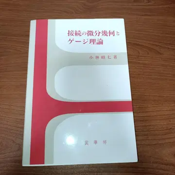 접속의 미분기하와 게이지 이론