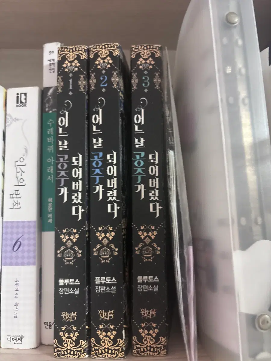 어느날 공주가 되어버렸다 어공주 소설 원적