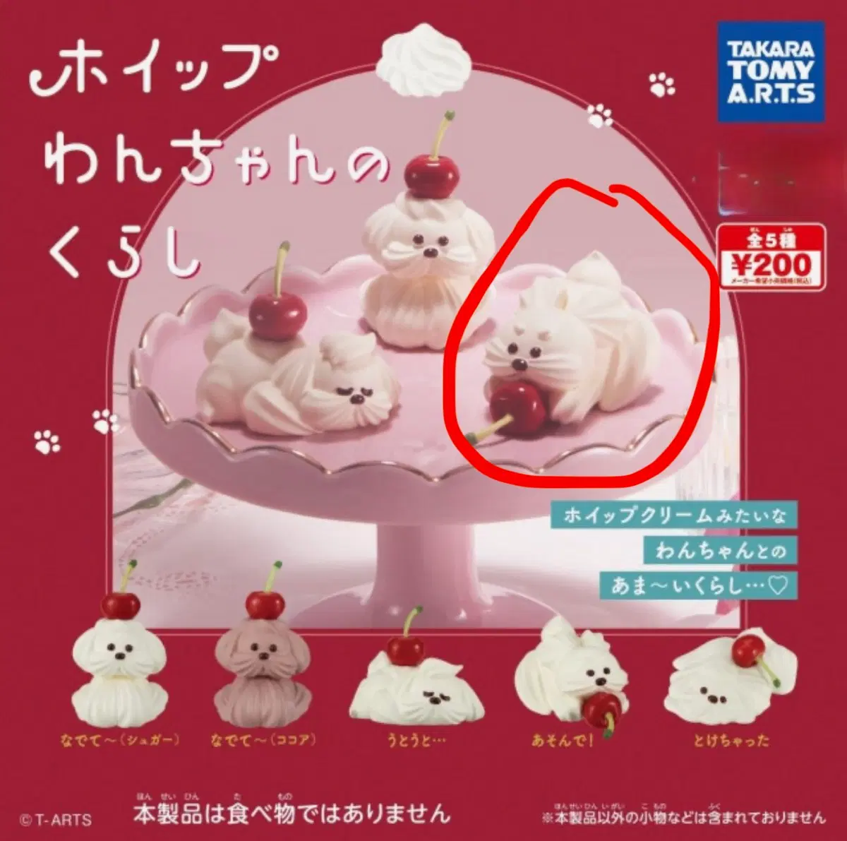 휘핑크림 강아지 가챠