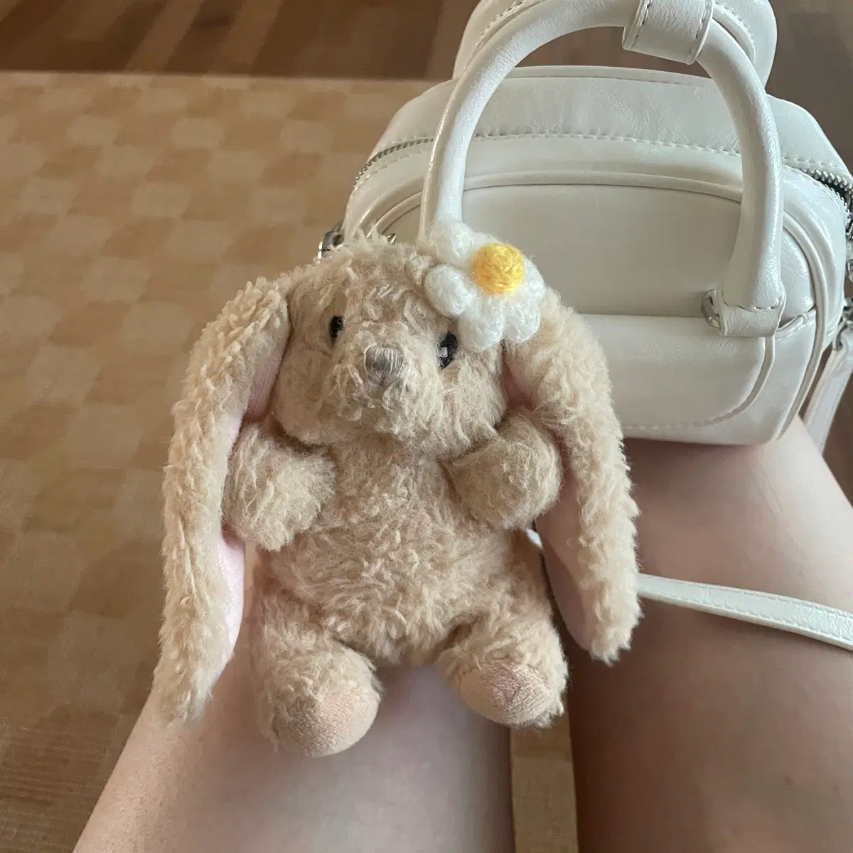 글로니 하와이 로니