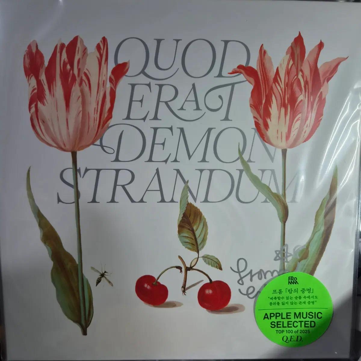 프롬 Q.E.D LP 사인반