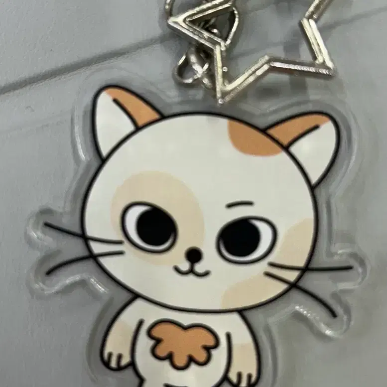 보넷도 쁘넥도 성호 캣삐 아크릴 키링