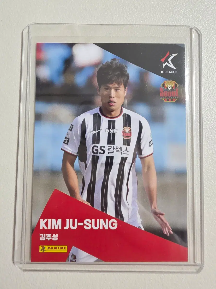 2025 k리그 파니니 김주성 베이스카드 판매 fc서울