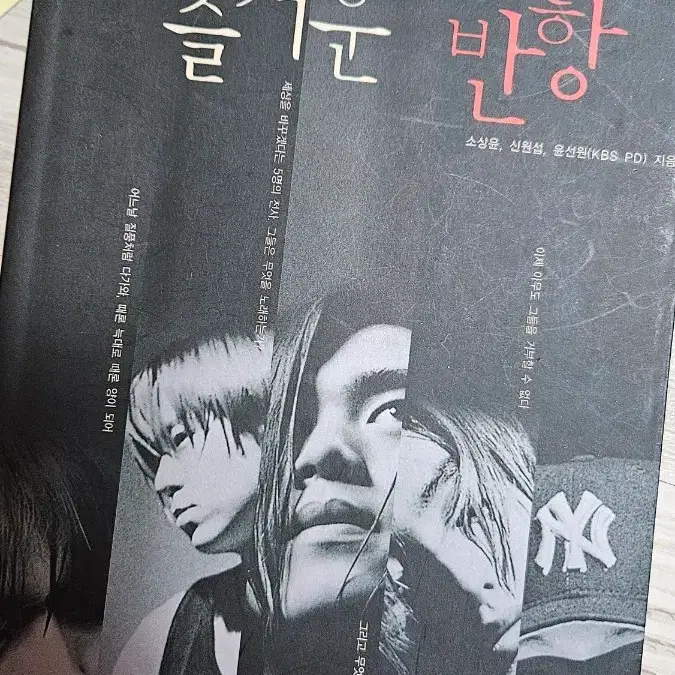 급전) 에쵸티 즐거운 반항 판매
