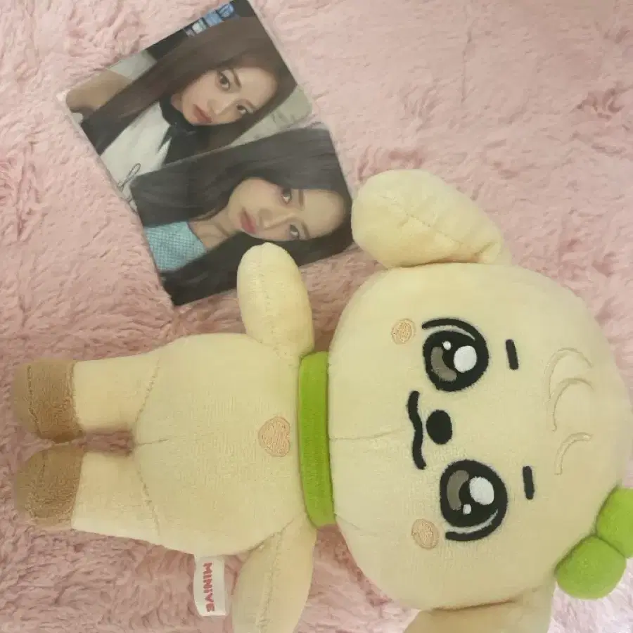 (급처)미니브 강안지 인형