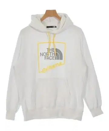 THE NORTH FACE 남성용 후드티