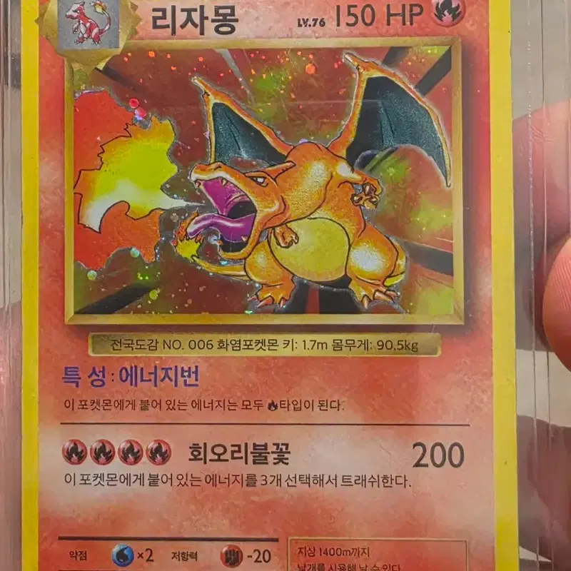 20주년 리자몽