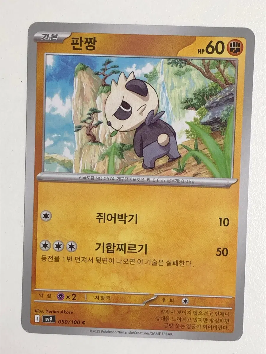 포켓몬카드 판짱