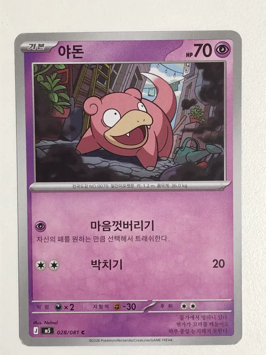 포켓몬카드 야돈