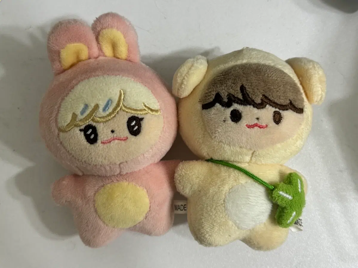 두부젠 버니잼 재민제노 양도