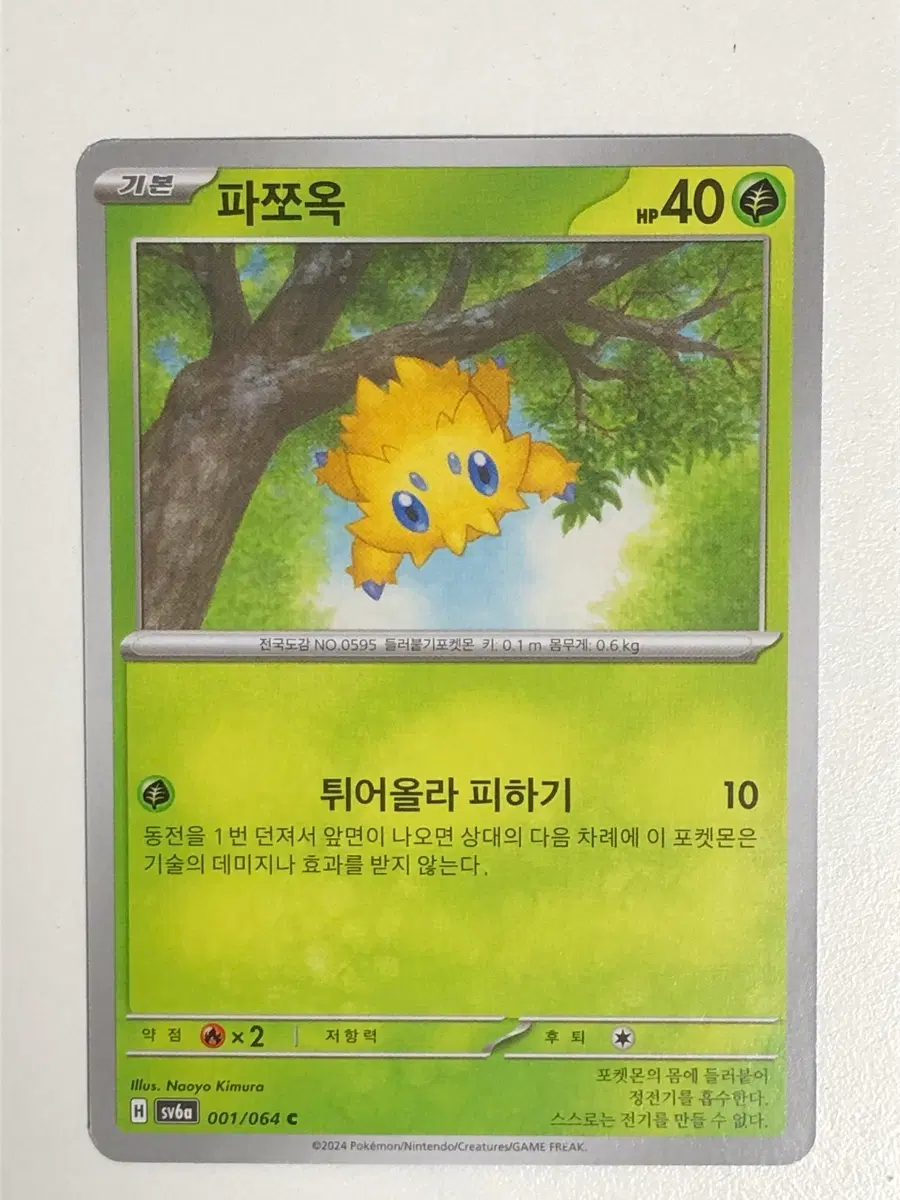 포켓몬카드 파쪼옥