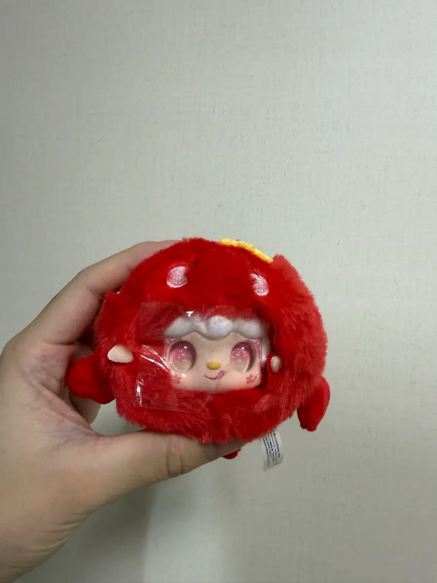 유키 해양 준시크