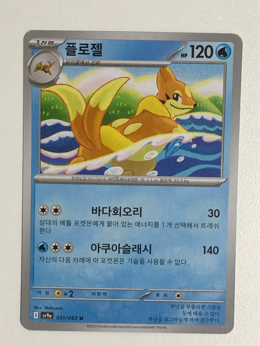포켓몬카드 플로젤