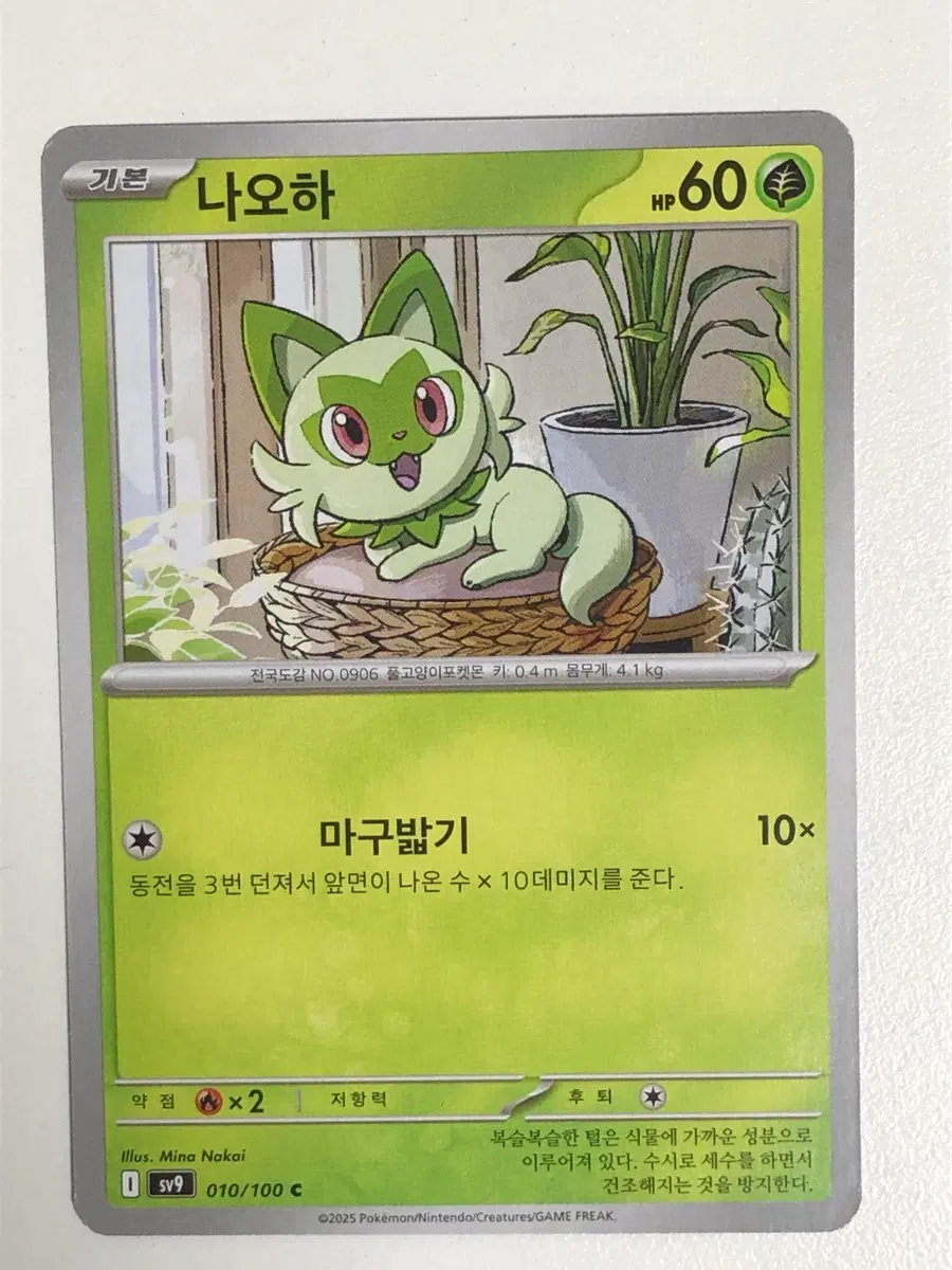 포켓몬카드 냐오하
