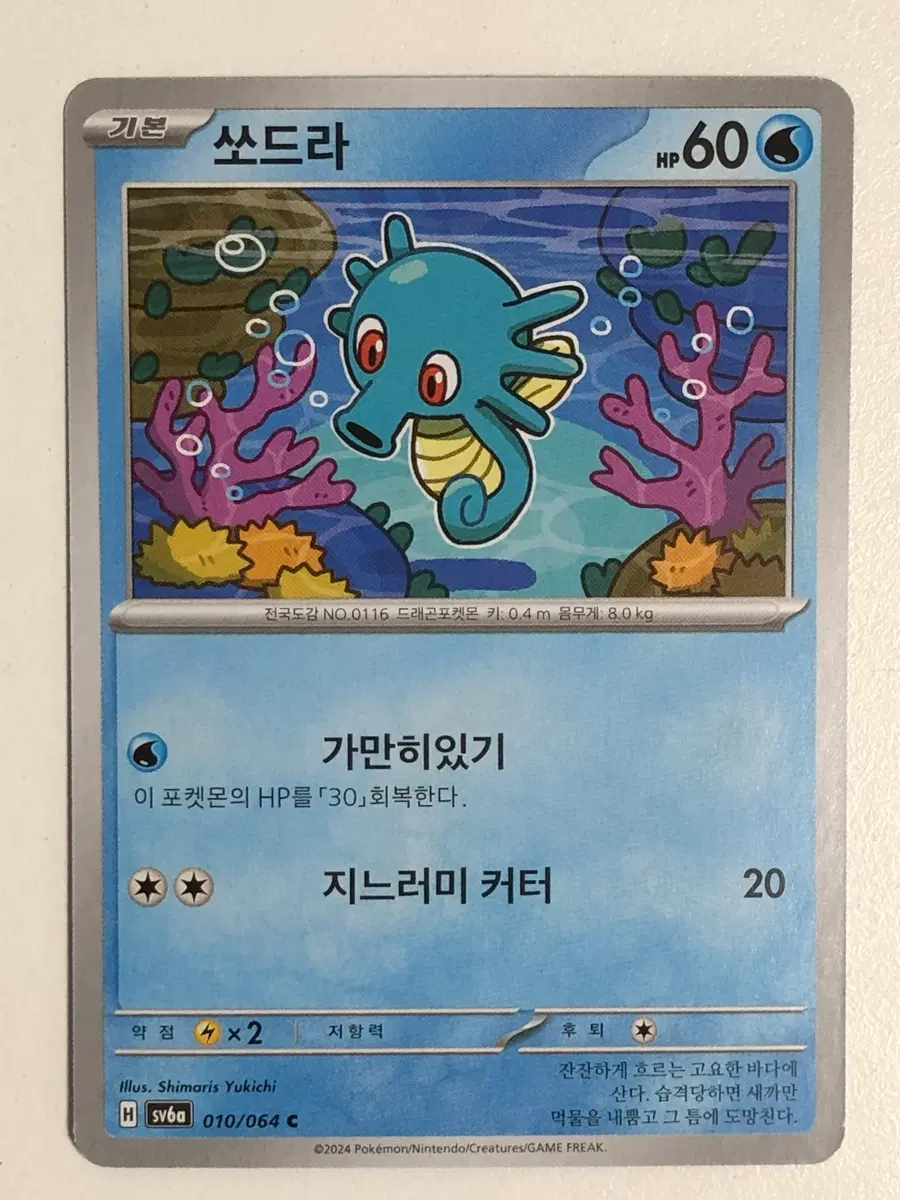 포켓몬카드 쏘드라