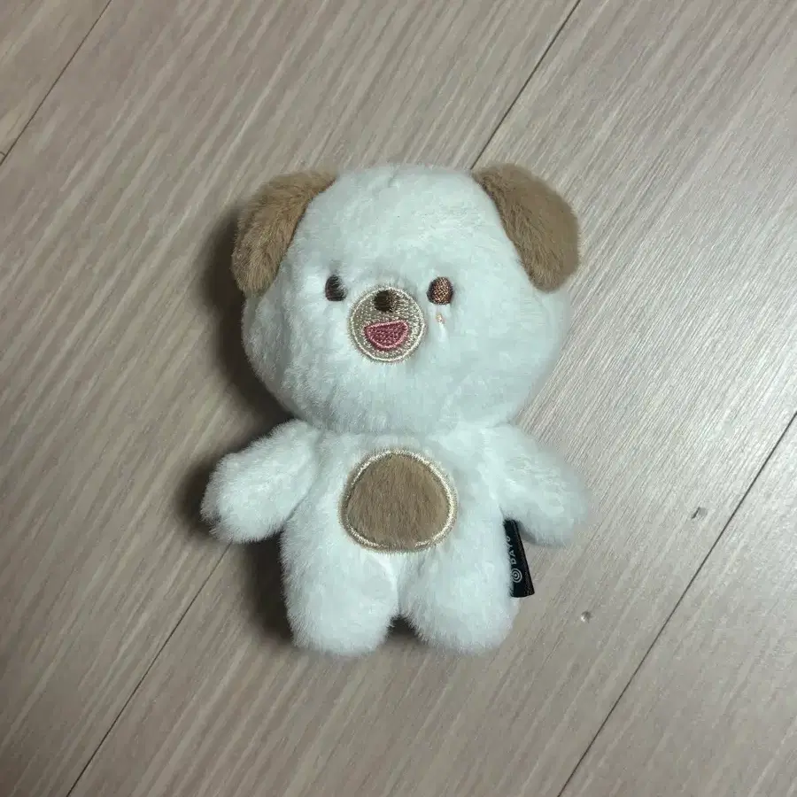데이식스 도운 쁘띠멀즈 돈