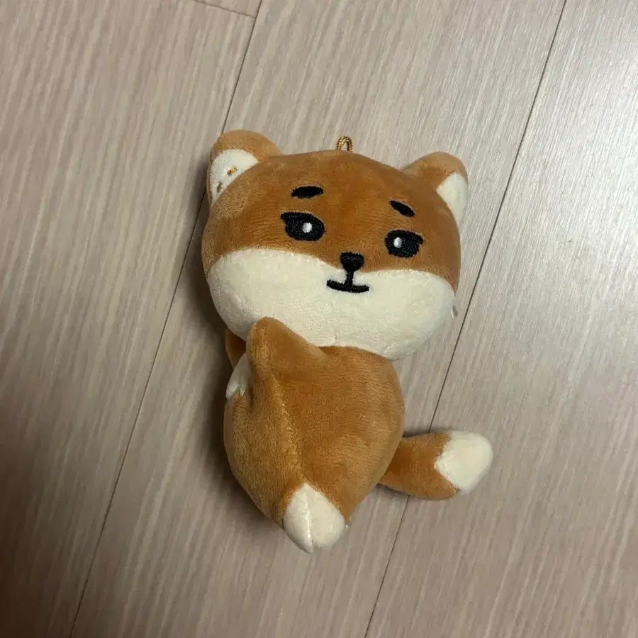 데이식스 영케이 데니멀즈 케 손난로