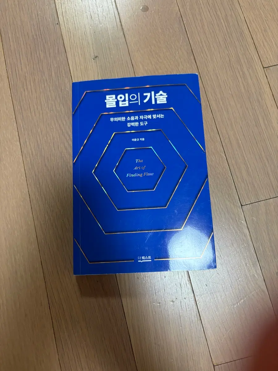 몰입의 기술 도서 (이운규 저)