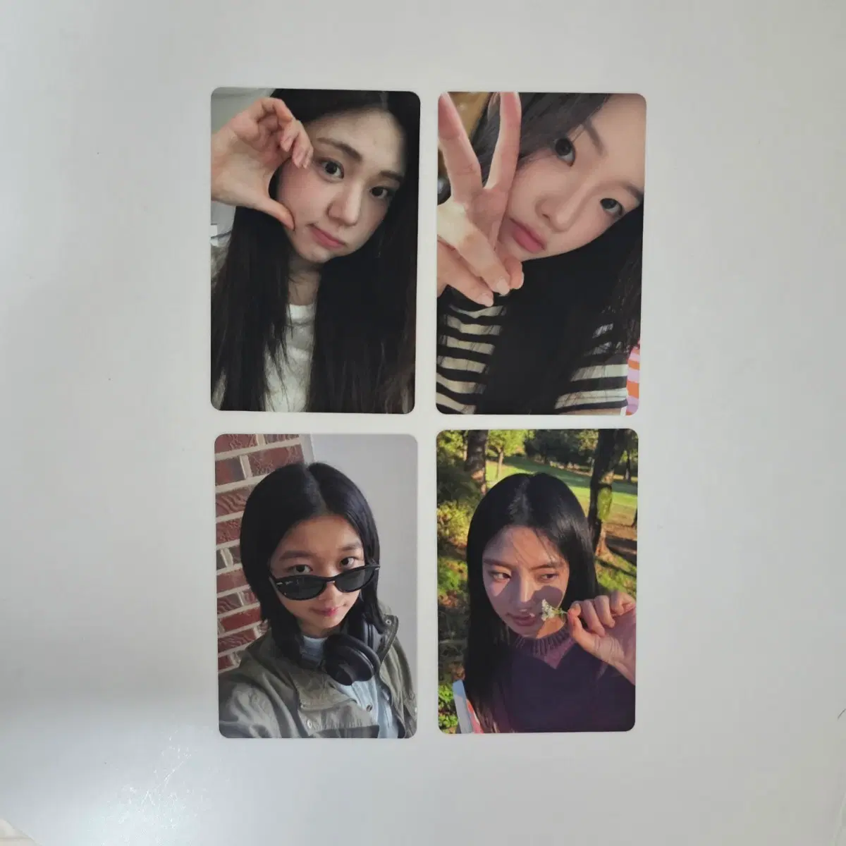 영화 '산양들' 포카 세트