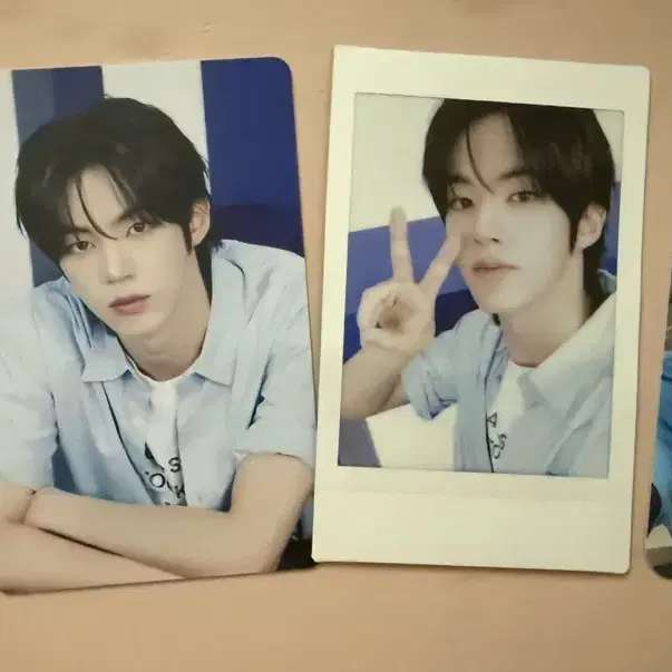 투어스 도훈 일괄