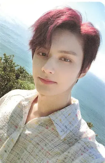 SEVENTEEN [Heng:garae] JUN 트레이딩 카드 DUL
