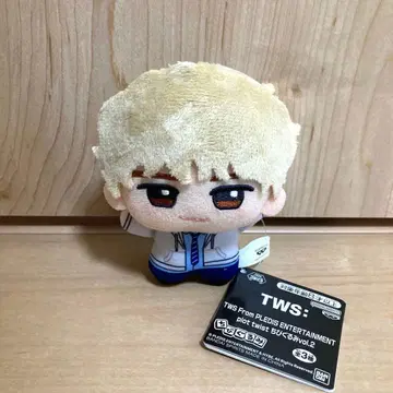 TWS plot twist SD 인형 KYUNGMIN 경민