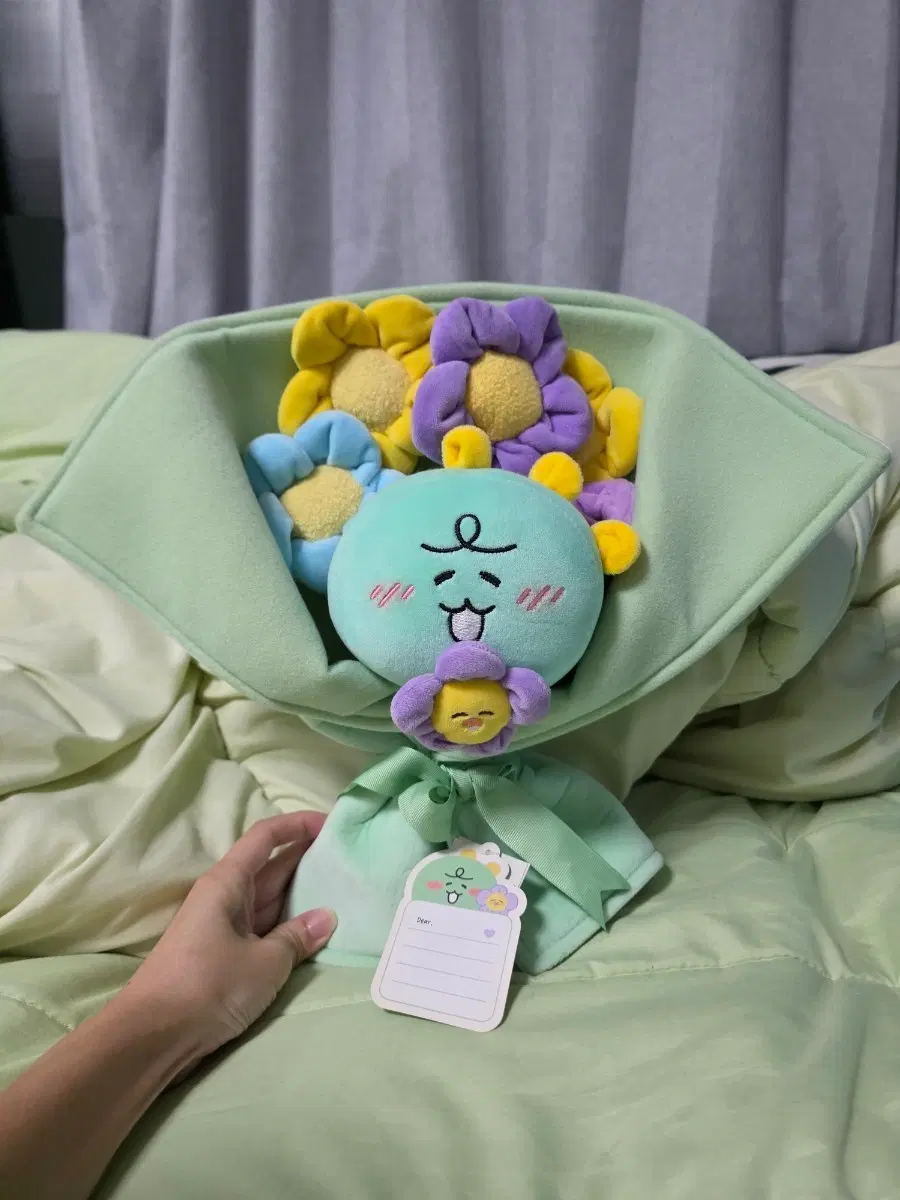 죠르디 꽃다발 인형 팝니다