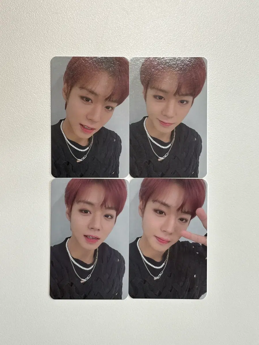 박지훈 조은뮤직 특전&당첨자 포카 포토카드