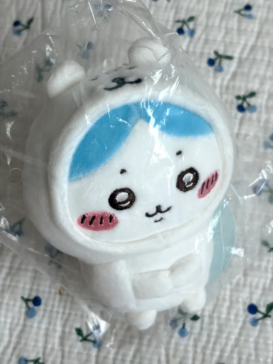 농담곰 옷을 입은 하치와레 인형 모찌 마스코트