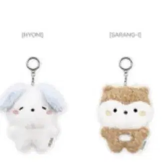 미니 피릿츠 1차 우현 HYONI OTM앨범 미공포 일괄양도