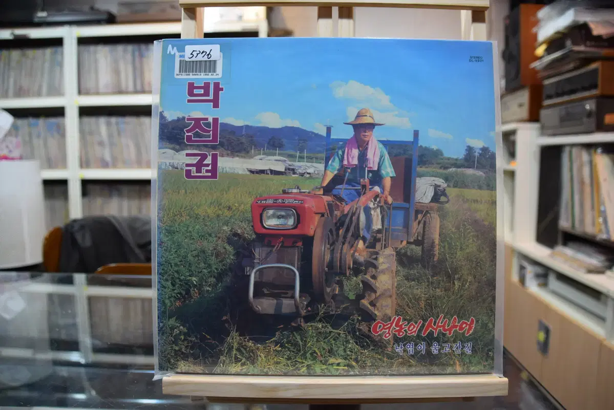 박진권 민트 : 낙엽이울고간 자리