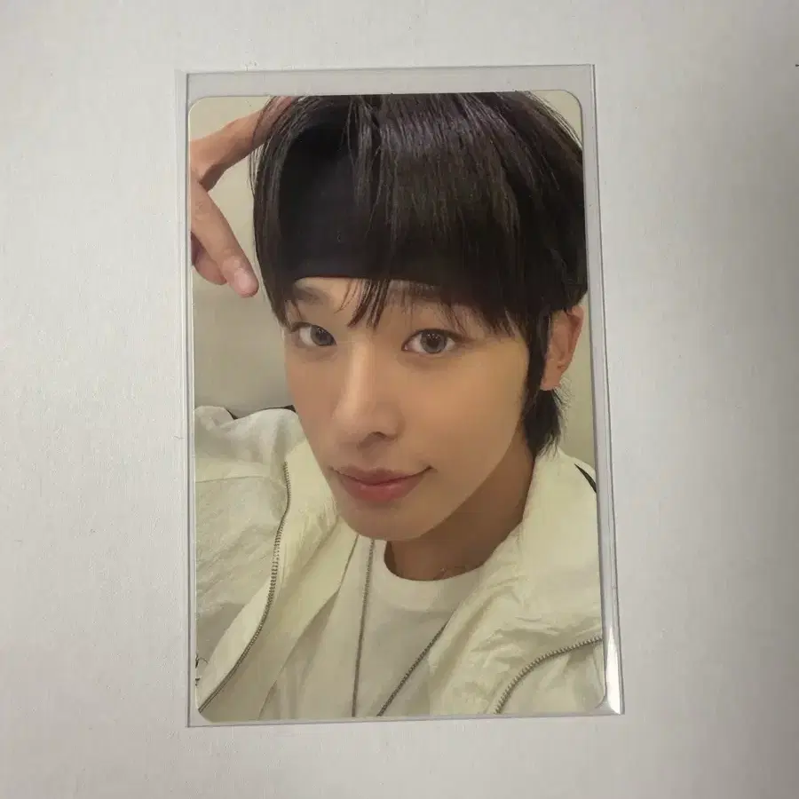 엔시티 위시 리쿠 포카 판매