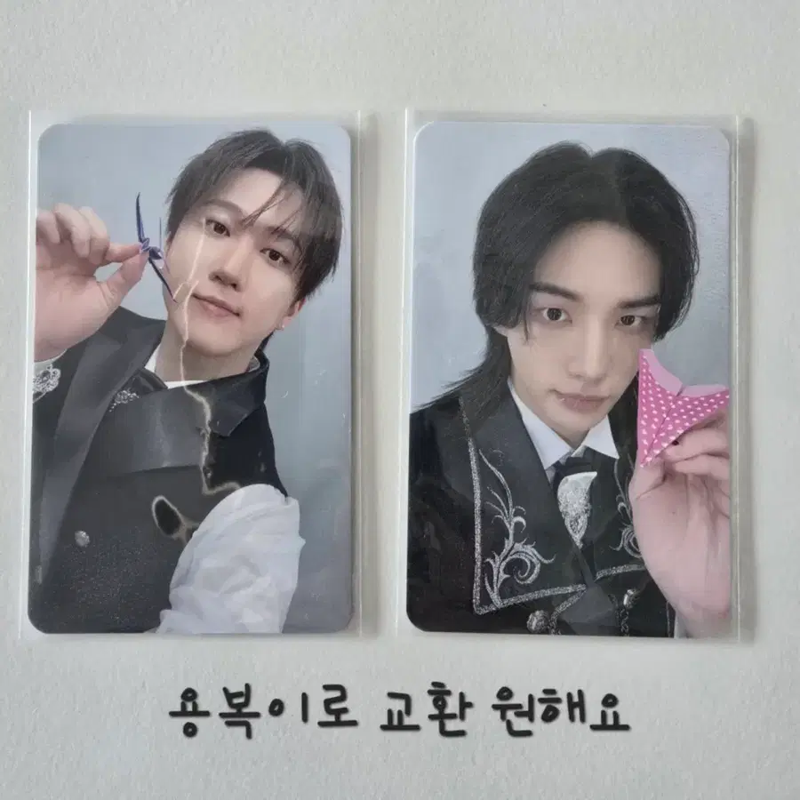 SKZOO EAATW in SEOUL 금액포카