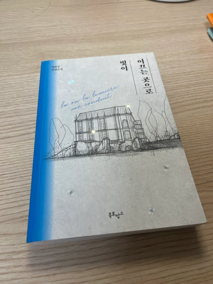 빛이 이끄는 곳으로 - 백희성