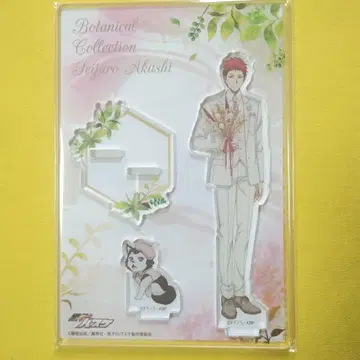 쿠로코의 농구 아카시 세이쥬로 아크릴 스탠드 Botanical Collection