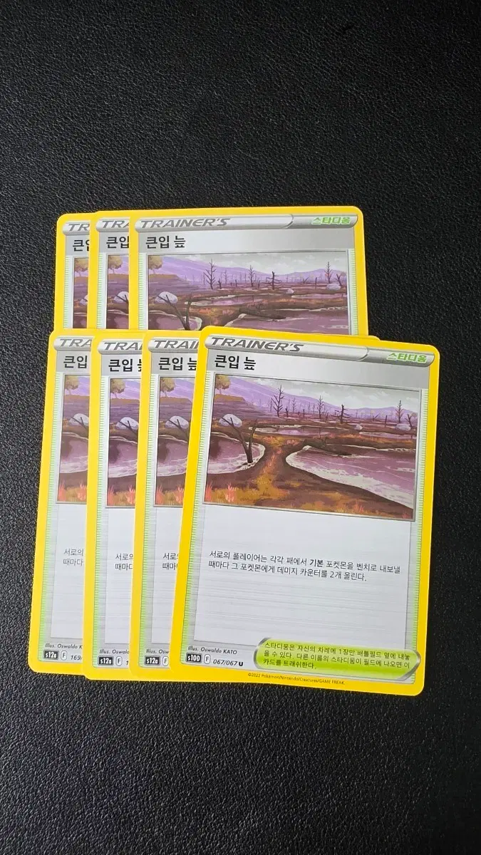 포켓몬 카드 큰입 늪