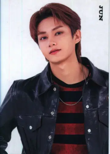 SEVENTEEN 2021 HARE JUN 트레이딩 카드 0108