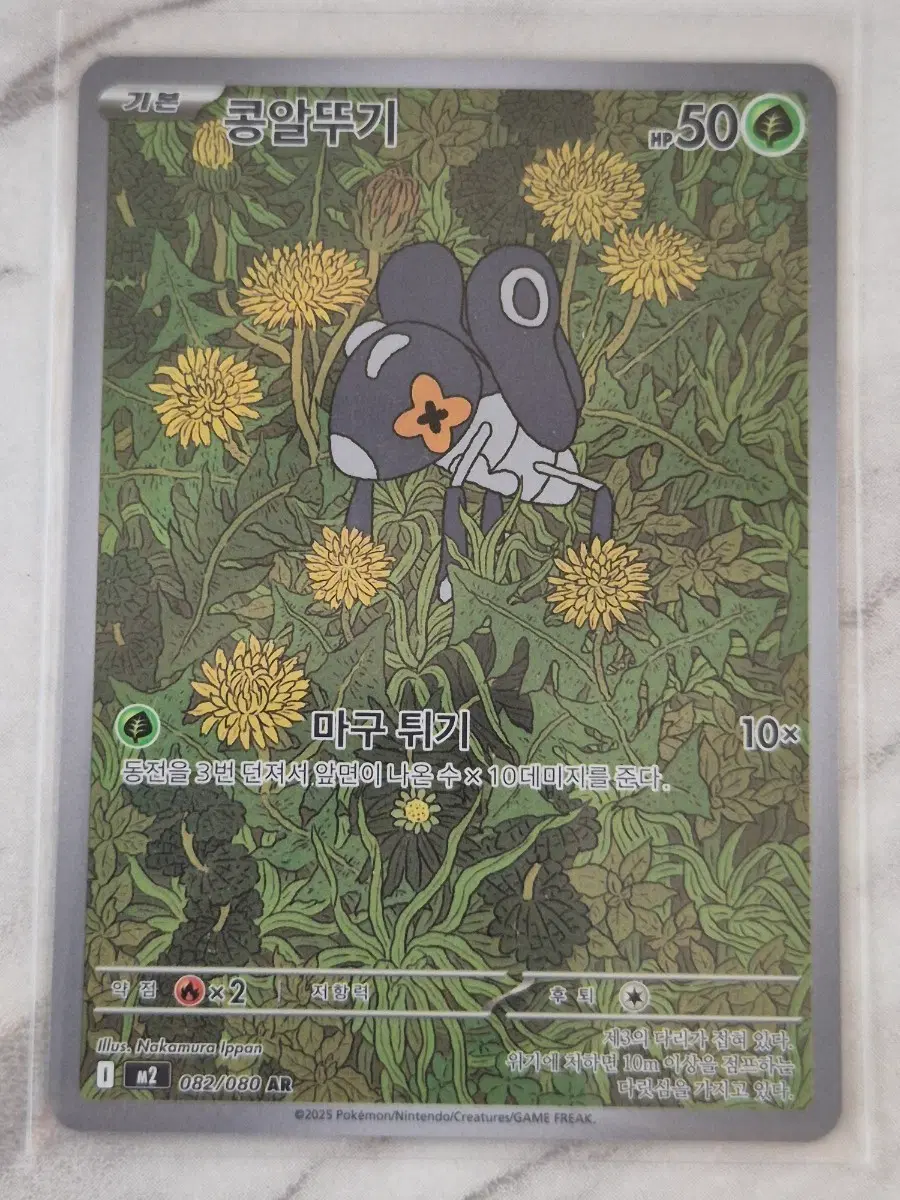 루. 포켓몬카드 콩알뚜기 AR 082/080